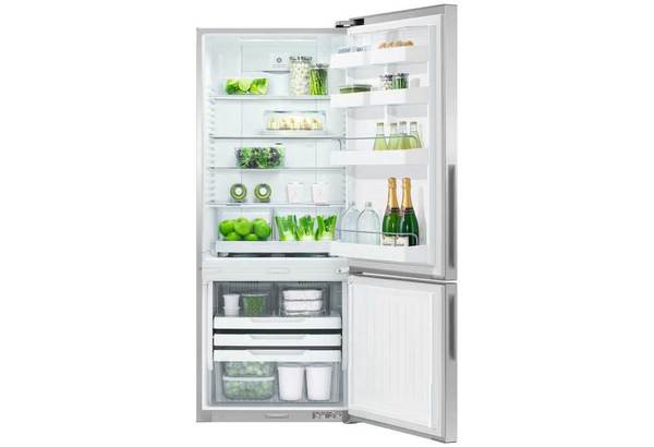 Fisher   paykel activesmart fridge   680mm bottom freezer 442l rf442brpx6