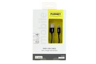 Pudney USB A to Mini USB 2M Cable