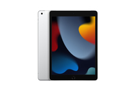 Apple 10.2-Inch iPad Wi-Fi + Cellular 256GB - 9th Gen - Silver