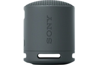 Sony SRS-XB100 Wireless Portable Bluetooth Speaker - Black